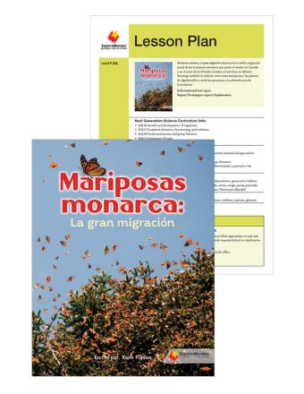Mariposas Monarca: La gran migración