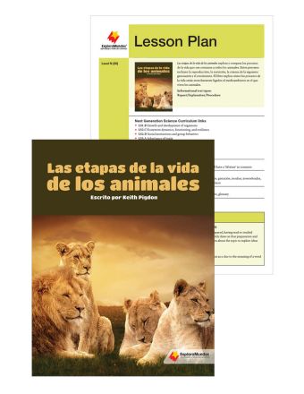 Las etapas de la vida de los animales