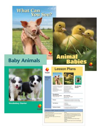 Animal Babies / What Can You See? / Baby Animals Vocabulary Starter
