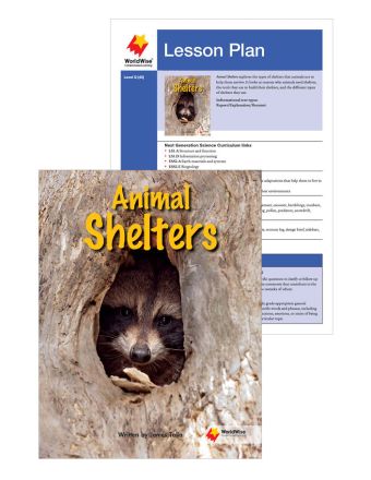 Animal Shelters