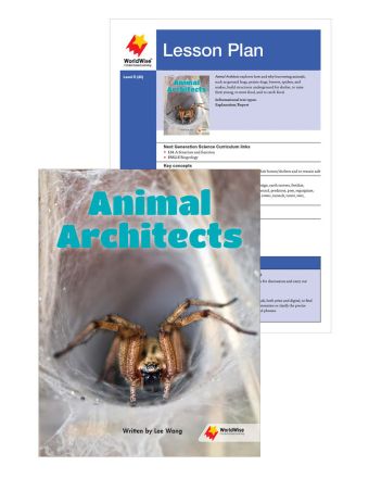 Animal Architects