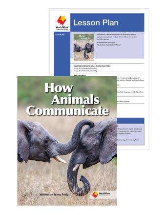 How Animals Communicate