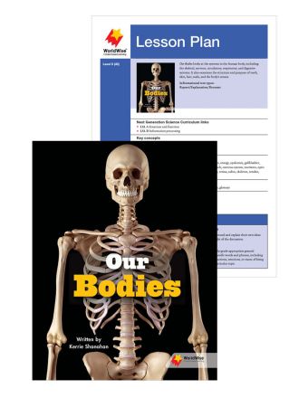 Our Bodies