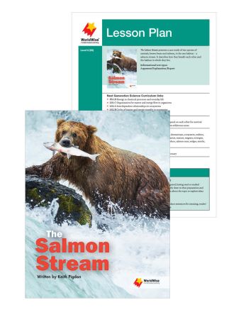 The Salmon Stream