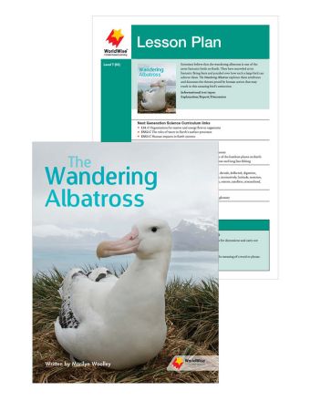 The Wandering Albatross