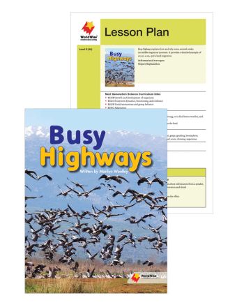 Busy Highways