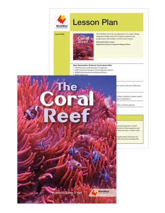 The Coral Reef