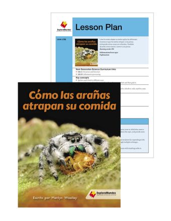 Cómo las arañas atrapan su comida