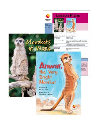 Meerkats at Work / Anwar, the Very Bright Meerkat