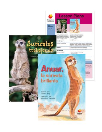 Suricatas trabajando / Anuar, la suricata brillante
