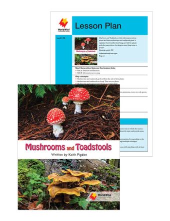 Mushrooms and Toadstools