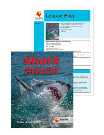 Shark Attack!