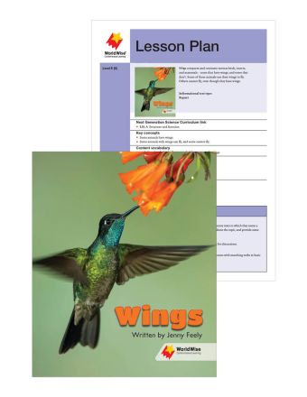 Wings