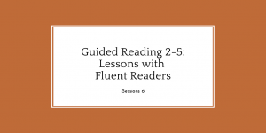 Guided Reading 2-5: Lessons with Fluent Readers, Session 6