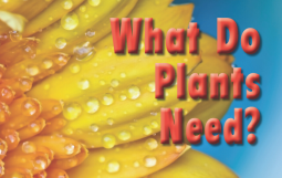 What do Plants Need?