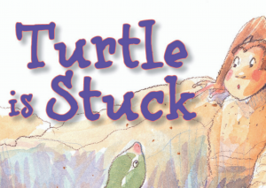 Turtle is Stuck
