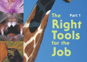 The Right Tools for the Job Part 1